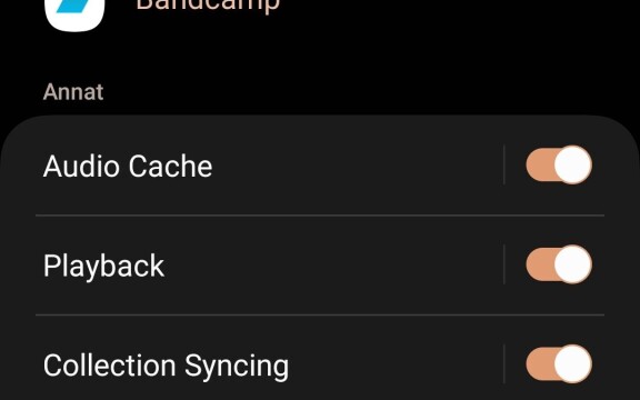 Tips: Styr aviseringarna i Android i detalj