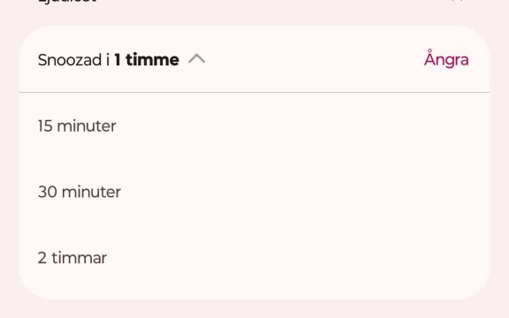 Tips: Snooza aviseringar i Android