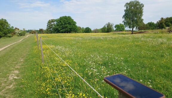Njut av naturen – med hjälp av mobilen
