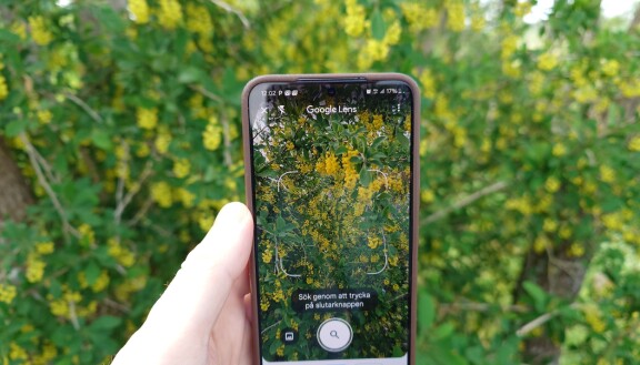 Njut av naturen – med hjälp av mobilen