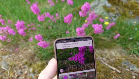 Njut av naturen – med hjälp av mobilen
