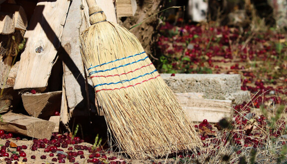 Google planerar ny storstädning i Play Store