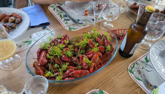 Review: Nothing Phone 2a Plus - Updated Challenger