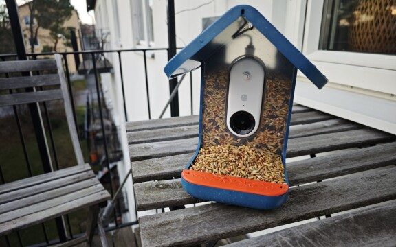 Test: Bird Buddy – Mata fåglarna och fånga dem på bild