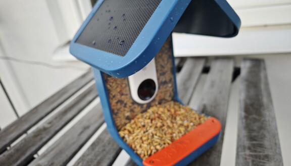 Test: Bird Buddy – Mata fåglarna och fånga dem på bild