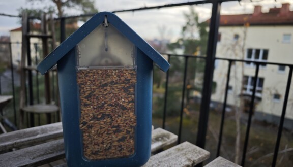 Test: Bird Buddy – Mata fåglarna och fånga dem på bild