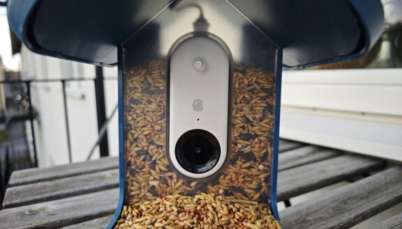 Test: Bird Buddy – Mata fåglarna och fånga dem på bild