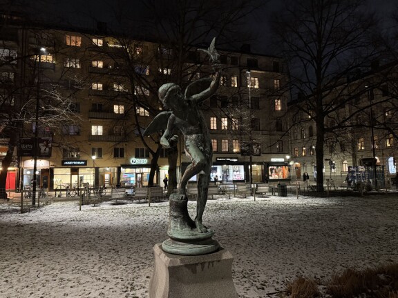 Staty, Iphone 16 Pro