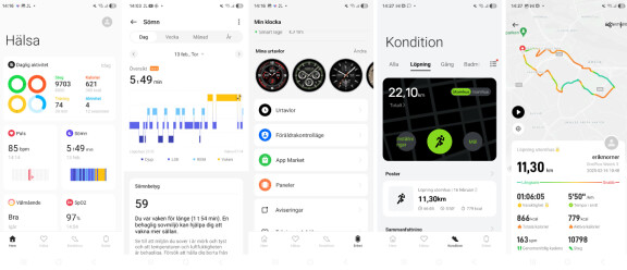 Appen som sköter inställningar och hälsopresentation heter Ohealth.