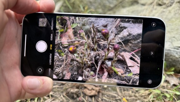 Test: Iphone 16e – Apples billigaste Iphone