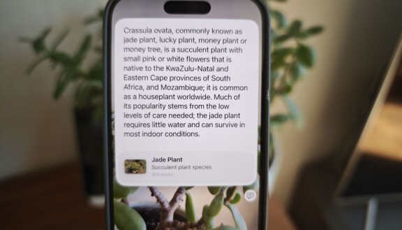 Apple Intelligence i Iphone: Så kommer du igång