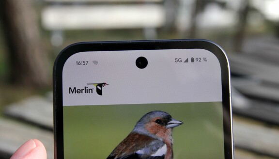 Test: Google Pixel 9a – Billigare mobil med förvånansvärt få nackdelar