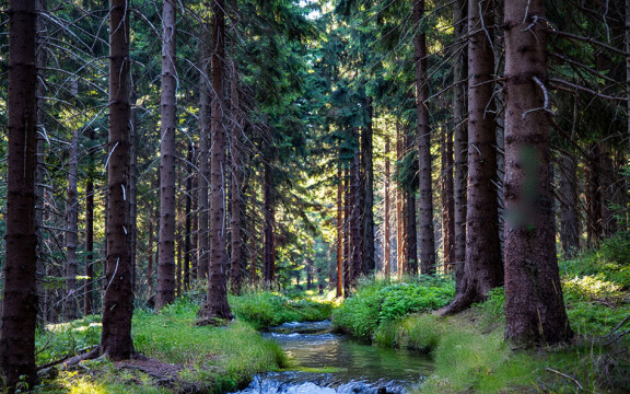 Europa har fått mer självständig sökmotor