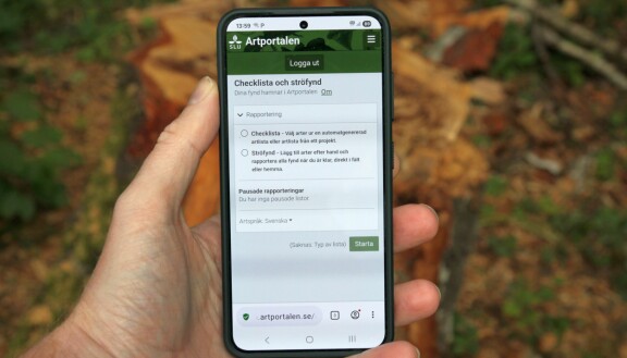 Långtidstest: Samsung Galaxy S25
