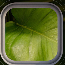 Oneplus utvecklar egen bildmotor – bryter samarbetet med Hasselblad