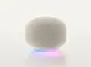 Google’s new smart speaker with Gemini