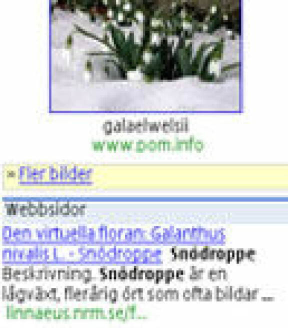 Google finslipar mobilsök
