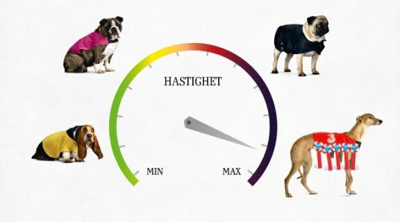 Telia stämmer Tre för hund-reklam