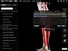 Muscle system Pro III