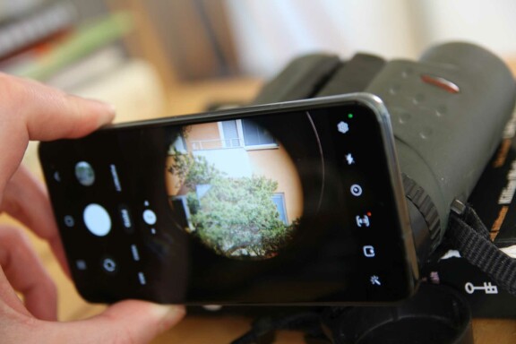 Tips: Så tar du mobilen till hjälp när du skådar fågel