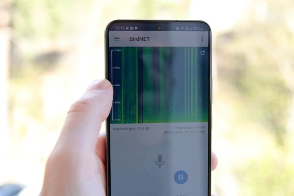 Tips: Så tar du mobilen till hjälp när du skådar fågel