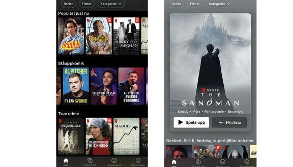 Netflix gets new download feature