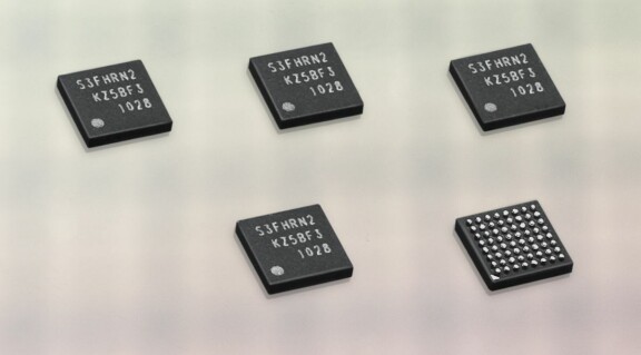 Betal-chip med minne från Samsung