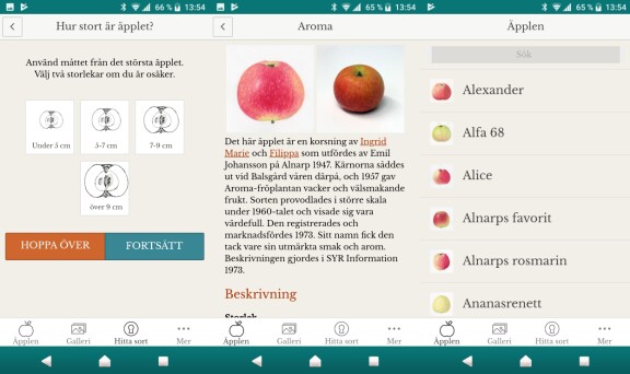 Apptips: Guiden till äppelodlingen