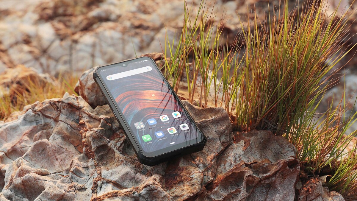 Tukli mushuklar bilan semiz qizlar